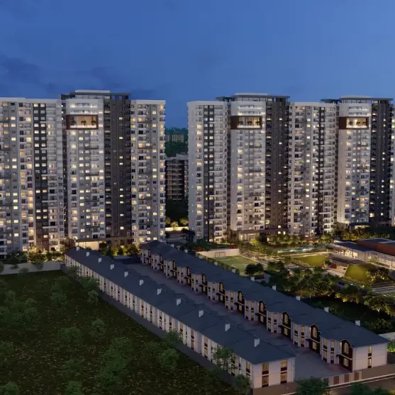 DNR Parklink Gallery 1