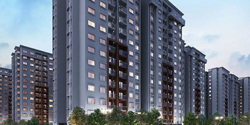 Provident Ecopolitan baglur