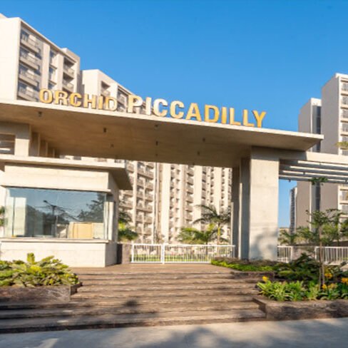Orchid Piccadilly Gallery 2
