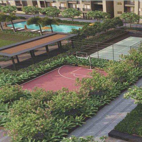 Orchid Piccadilly Gallery 9