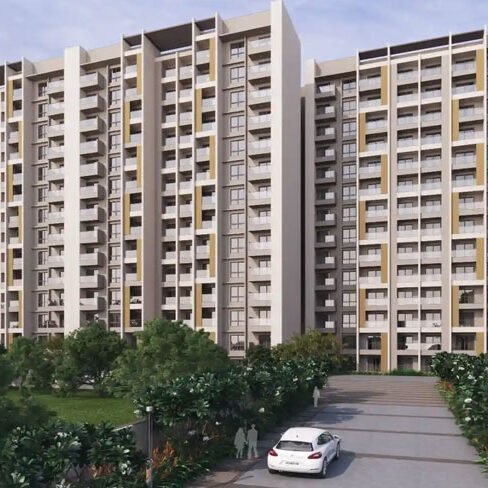 Orchid Salisbury Gallery 6