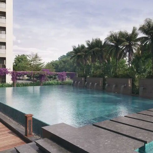 Orchid Salisbury Gallery 8