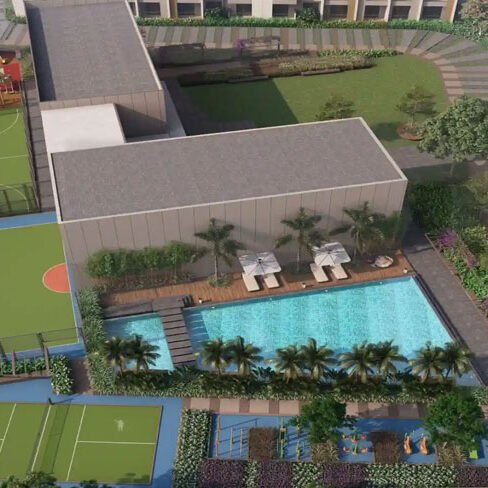 Orchid Salisbury Gallery 9