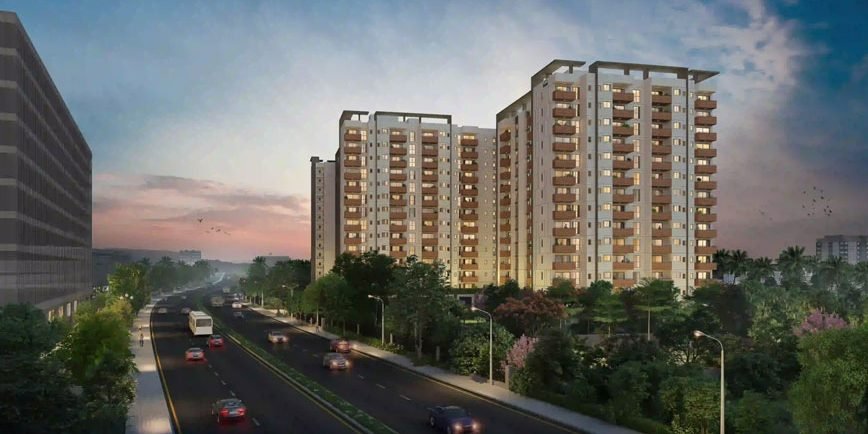 Assetz Sora and Saki