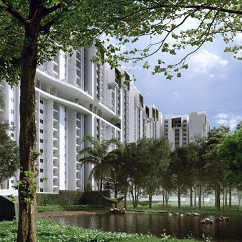 Prestige Southern Star 2