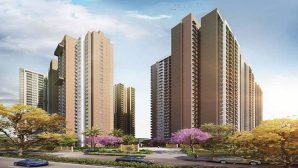 Prestige Southern Star 4