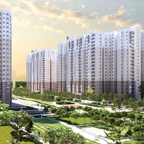 Prestige Southern Star 5