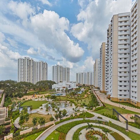 Prestige Southern Star 6