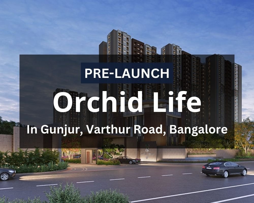 Orchid Life Banner
